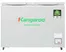 Tủ Đông Kangaroo Inverter 290 Lít KGFZ290IC1