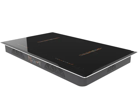 Bếp Đôi Hawonkoo CEH-204-IF - Thái Lan 4