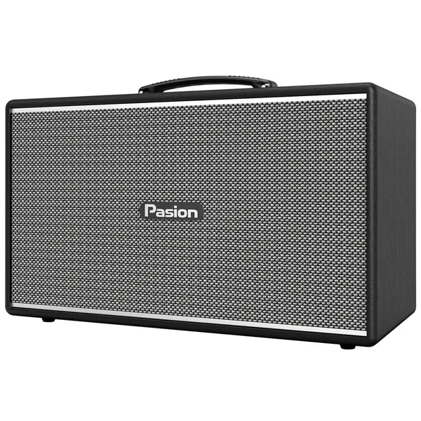 Loa Di Động Xách Tay Paramax PASION Enzo (Black Leather)