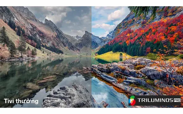 Google Tivi Sony 4K 85 Inch KD-85X80L 1
