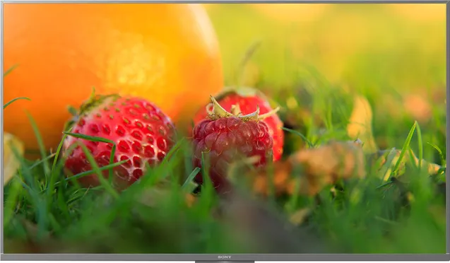 Sony Android Tivi 4K 49 Inch KD-49X8500H/S 1