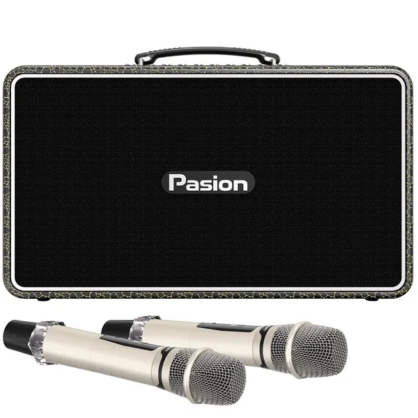 Loa Di Động Xách Tay Paramax PASION Arte (Golden Black)