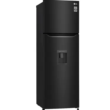 Tủ Lạnh LG Inverter 255 Lít GN-D255BL 1