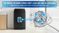 Máy Giặt Samsung Inverter 12.5 Kg WA40F12E4CSV