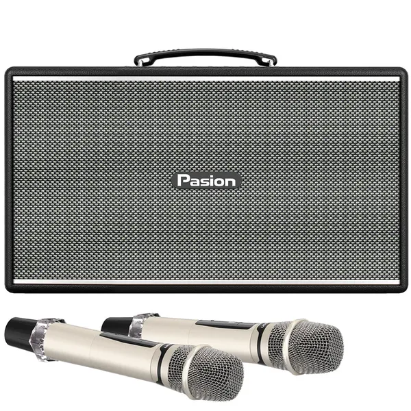 Loa Di Động Xách Tay Paramax PASION Enzo (Black Leather)