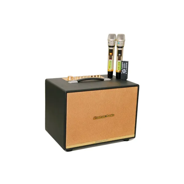 Loa Xách Tay Hiệu Boston Audio BA 9999 VII