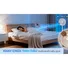 Quạt Tuần Hoàn Có Remote Sharp PJ-CD114V-C 36W