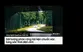 Smart Tivi NEO QLED 8K Samsung 55 Inch QA55QN700B 3