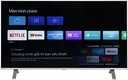 Google Tivi Toshiba 4K 50 inch 50C350LP