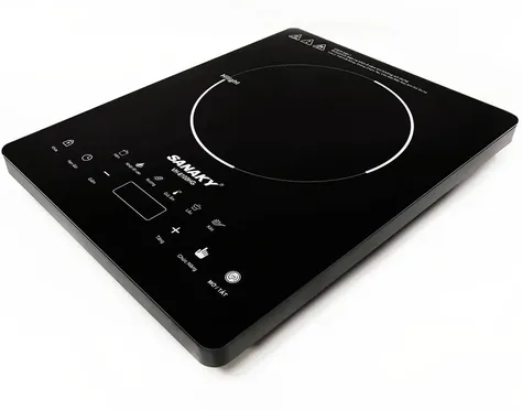 Bếp Hồng Ngoại Đơn Sanaky VH-6100HG 1