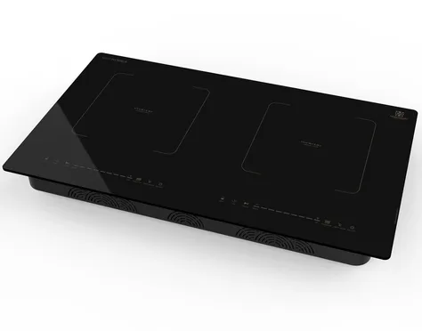 Bếp Từ Đôi Hawonkoo CEH-251-Inverter 4400W - Thái Lan 3
