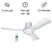 Quạt Trần KDK M11SU(WH)