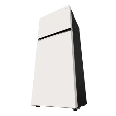 Tủ Lạnh LG Smart Inverter 395 Lít GN-B392BG 10