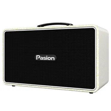 Loa Di Động Xách Tay Paramax PASION Arte (Golden Pearl) 2
