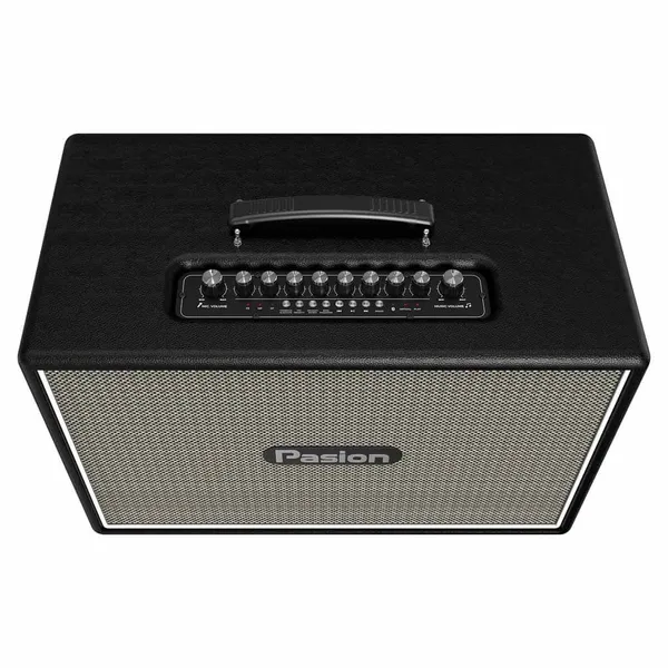 Loa Karaoke Di Động Xách Tay Paramax PASION Outro ( Black Leather)