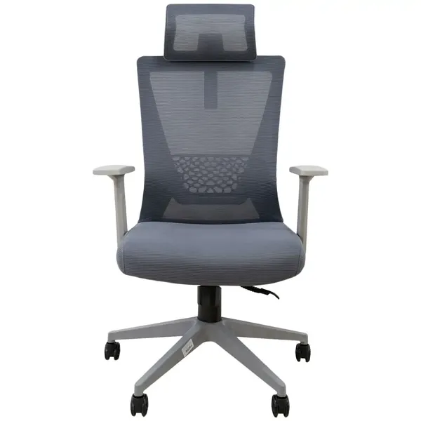 Ghế Văn Phòng Công Thái Học ECOOC-2108 Xám