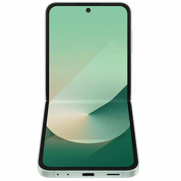 Samsung Galaxy Z Flip6 (12GB+256GB)