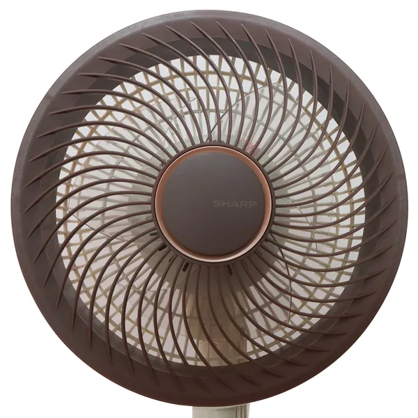 Quạt Tuần Hoàn Điều Khiển Giọng Nói Sharp PJ-CD227V-W 24W