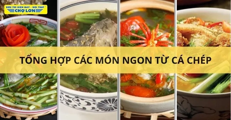 Tổng hợp 9 Cách nấu canh cá chép ngon, đậm đà, thanh mát tại nhà