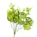 Bụi Cây Vạn Niên Thanh 45CM-A255BM