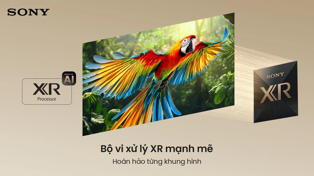 Google TiVi True RGB Sony 55 Inch BRAVIA 7 II K-55XR70M2