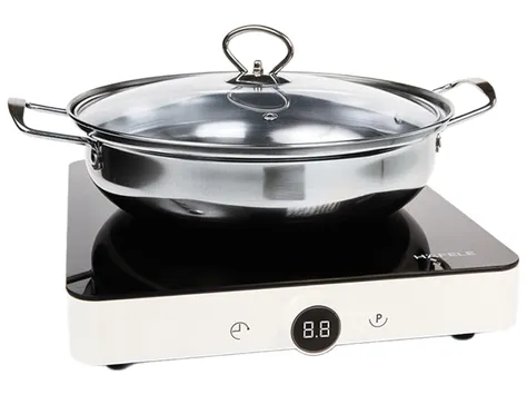 Bếp Từ Đơn Hafele HSI-21FW (536.61.990) (Tặng Kèm Nồi) 4