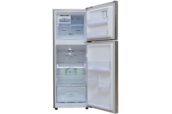Tủ Lạnh Samsung Inverter 234 Lít RT22FARBDSA/SV 2