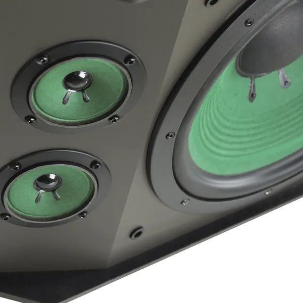 Loa Paramax K-1000