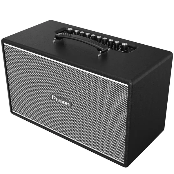 Loa Di Động Xách Tay Paramax PASION Enzo (Black Leather)
