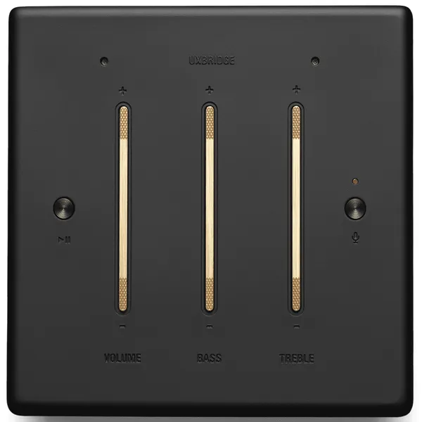 Loa Bluetooth Marshall Uxbridge Google Black (EU)