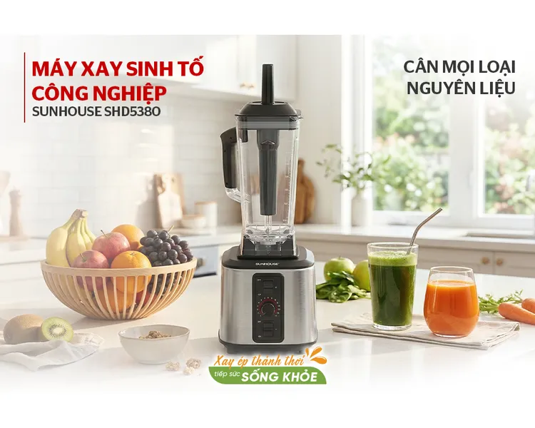 Máy Xay Sinh Tố Công Nghiệp Sunhouse SHD5380