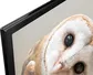 Sony Android Tivi 4K 75 Inch KD-75X8050H