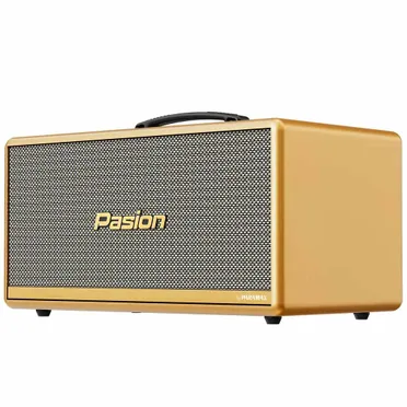 Loa Di Động Xách Tay Paramax PASION 2c (Màu Vàng) 1