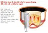 Nồi Cơm Điện Cao Tần Tiger JKW-A18W-CU - Nhật Bản