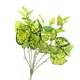 Bụi Cây Vạn Niên Thanh 45CM-A255BM