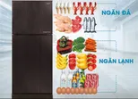 Top 3 tủ lạnh Aqua Sanyo gi&aacute; tốt tại Điện M&aacute;y Chợ Lớn