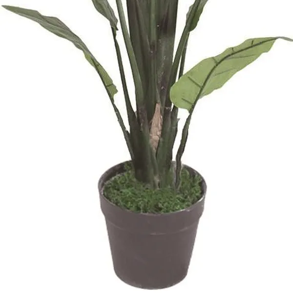 Chậu Cây Chuối Cảnh JWS2808