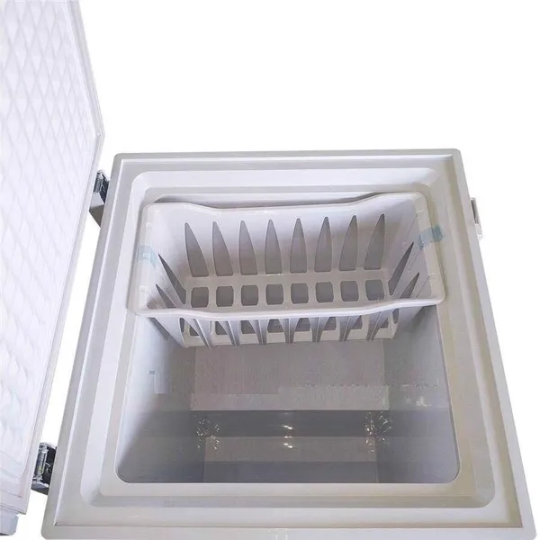 Tủ Đông Hòa Phát 100 Lít HCF 106S1N