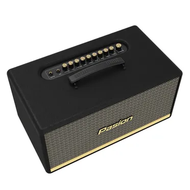 Loa Di Động Xách Tay Paramax PASION 2 2