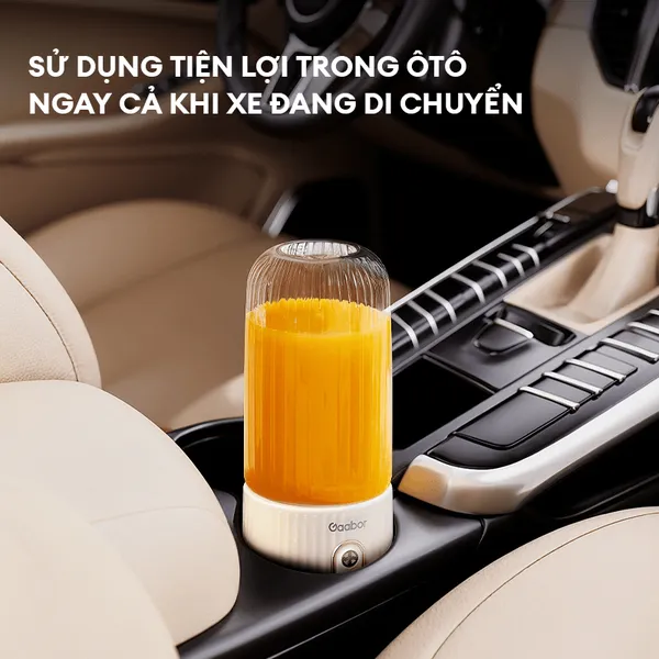 Máy Xay Sinh Tố Cầm Tay Gaabor FP03T-WH01A