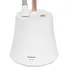 Bàn Ủi Hơi Nước Đứng Panasonic NI-GSG060WRA