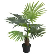 Chậu Cây Cọ Jws2895