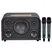 Loa Karaoke Di Động Acnos Acoustic 3 Compact (màu Đen) 3