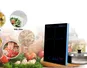 Bếp từ đơn Magic A-46 2000W
