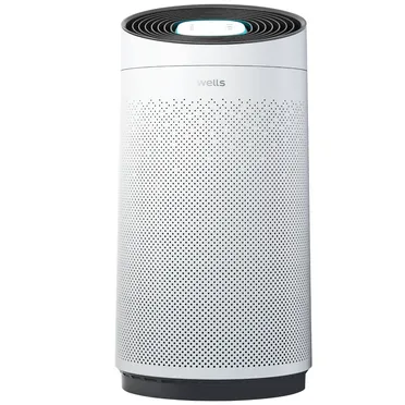 Máy Lọc Không Khí Wells Anti - Virus AP520 0