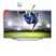 TCL Tivi LED 3D Ultra HD 55 Inch L55E6700
