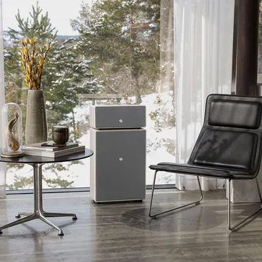 Loa Audio Pro Drumfire II 1