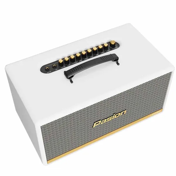 Loa Di Động Xách Tay Paramax PASION 2c (Màu Trắng)