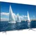 TCL Android Tivi 4K 55 Inch 55P725 1