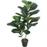 Chậu Cây Bàng JWS2924